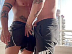 Vyrýsovaní, british muscle, wolf