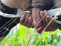 Having Fun in a corn field, milking my cock