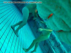 Amateur, Piscina, Público, Voyeur