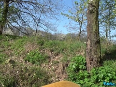 Leie, Auto, Besamung, Im freien, Öffentlich, Muschi, Rotschopf