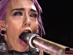 素人, 緊縛, ボンデージ, 開帳, スパンキング