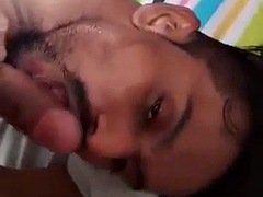 Homo