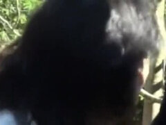 Asiático, Corrida, Japonés, Madres para coger