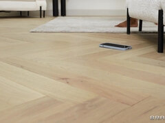 18 jaar, Kont, Grote lul, Grote mammen, Pijpbeurt, Zwart, Tiener, Trio