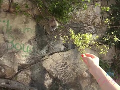 素人, フェラチオ, 口内発射, オーガズム, ハメ撮り, 公共, オマンコ, オッパイの