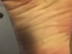 Pies, Pov
