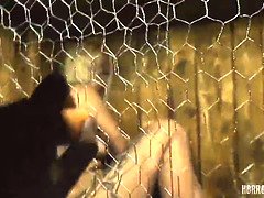 Rabbit hutch