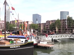Orgasm Over Rotterdam