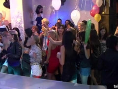 Amateur, Mamada, Club, Estilo perrito, Sexo duro, Fiesta, Satén, Medias largas