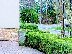 お尻, Hd, 下着, 淫乱熟女, 母, ハメ撮り, オマンコ, 義母