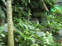 Amateur, Cul, Blonde, Éjaculer dans la bouche, Branlette thaïlandaise, Chatte, Rasée, Nénés