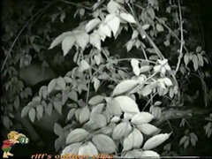 Amateur, Belleza, Clásico, Natural, Pezones, Orgasmo, Orinar, Voyeur