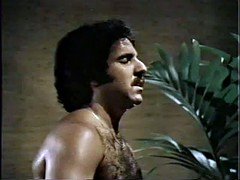 毛深い, ハードコア, ヴィンテージ