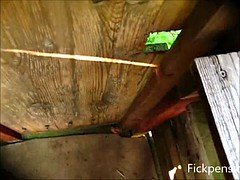 Enthousiasteling, Duits, Swinger