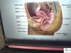 Blasen, Braunhaarige, Sperma im mund, Hd, Milf, Pov, Sohn, Stiefmutter