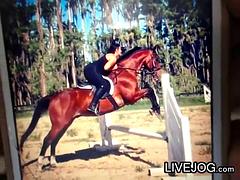 Amateur, Tetas grandes, Sexo fuerte, Solo, Tetas, Camara web