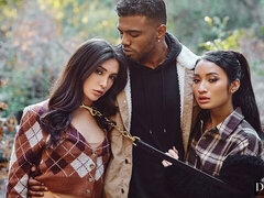 Grosser schwanz, Schwarz, Blasen, Braunhaarige, Hundestellung, Frau frau mann, Interrassisch, Jungendliche (18+)