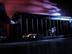 Lamer culo, Negro, Rubia, Mamada, Corridas faciales, Atragantadas, Lamidas, Perforación