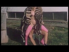 イタリア人, オッパイの