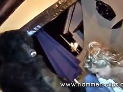 Holiday in paradise - compilation
