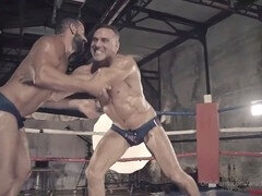 Anal, Grosse bite, Tir de sperme, Queue, Homosexuelle