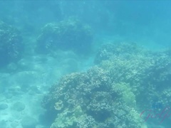 フェラチオ, 彼女, 手コキする, アウトドア, ハメ撮り, 公共, のぞき, 濡れ