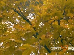 Любители, Минет, Немки, Гостиница, Милф, На природе, На публике, Реалити