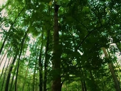 Enthousiasteling, Pijpbeurt, Handbeurt, Natuurlijke tieten, Buiten, Gezichtspunt, Kut duiken, Roodharige vrouw