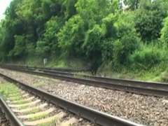 Spermaladung, Im freien, Öffentlich