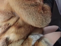 Amateur, Anal, Verga grande, Mamada, Británico, Corrida, Cuero, Pelirrojo