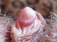 Amateur, Clitoris grande, Brutal, Clitoris, Extremo, Peludo, Casero, Sexo fuerte