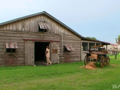 Gros cul, Gros seins, Queue, En levrette, Hard, Mère que j'aimerais baiser, Adolescente, Nénés