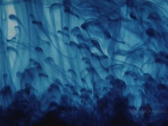 Culo, Culo grande, Tetas grandes, Amarrada, Fetiche, Orgasmo, Latex, Juguetes