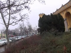 フェラチオ, イギリス人, 茶髪の, Hd, アウトドア, ハメ撮り, 公共, タトゥー