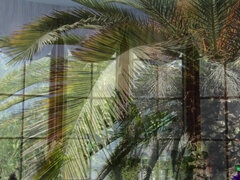 Lieveling, Grote mammen, Rondborstig, Erotisch, Latijnse vrouw, Masturbatie, Tieten likken, Nat