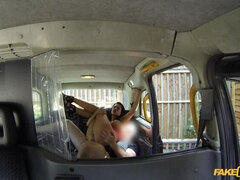 Cabbie's Obsessed with Bombshell