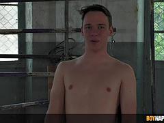 Геи