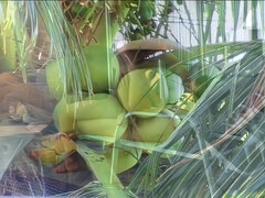 Anaal, Grote kont, Grote mammen, Blond, Gek, Huisgemaakt, Shemale, Tieten likken