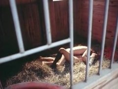 Sucer une bite, Classique, Hard, Orgie, Chatte, Adolescente, Rétro ancien, Mouillée