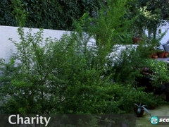 Любители, Брюнетки, Хд, Мастурбация, Тощие, Соло