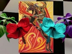 Sadomasoquismo, Esclavo