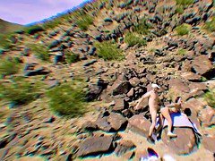 Grosser schwanz, Milf