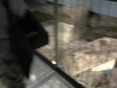 Amateur, Petite amie, Pov, Chatte, Rasée, Maigrichonne, Fumer, Tatouage