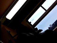 Negro, Linda, Fetiche de pies, Voyeur