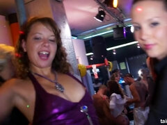 Lieveling, Grote mammen, Gek, Erotisch, Handbeurt, Hardcore, Feest, Tieten likken