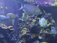 Pijpbeurt, Auto, Vingeren, Flashing, Vriendin, Orgasme, Gezichtspunt, Mager