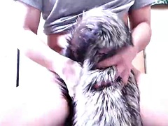 Fox Fur bukkake 2