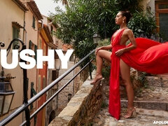 Anaal, Grote lul, Pijpbeurt, Hondjeshouding, Natuurlijke tieten, Roodharige vrouw, Tiener, Tieten likken