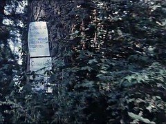 毛深い, イタリア人, ヴィンテージ