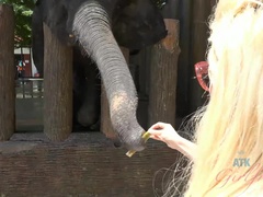 After a long day of tourist stuff, you still get to creampie Elsa